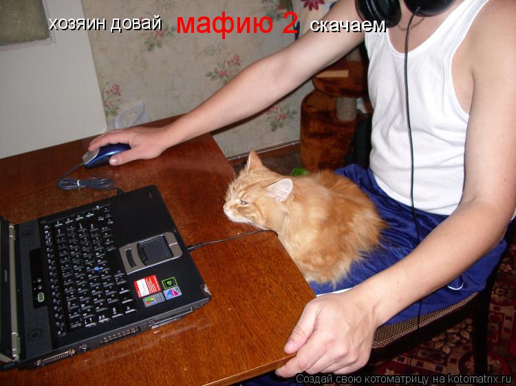 хозяин довай мафию 2 скачаем... Котоматрица: хозяин довай мафию 2 скачаем