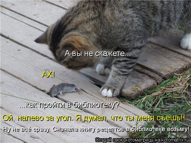 А вы не скажете... АХ! ...как пройти в библиотеку? Ой, налево за угол. Я думал, что ты меня съешь!! Н... Котоматрица: А вы не скажете... АХ! ...как пройти в библиотеку? Ой, налево за угол. Я думал, что ты меня съешь!! Ну не всё сразу. Сначала книгу рецептов в библио