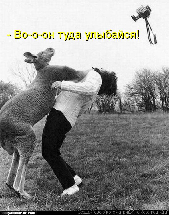 - Во-о-он туда улыбайся!... Котоматрица: - Во-о-он туда улыбайся!
