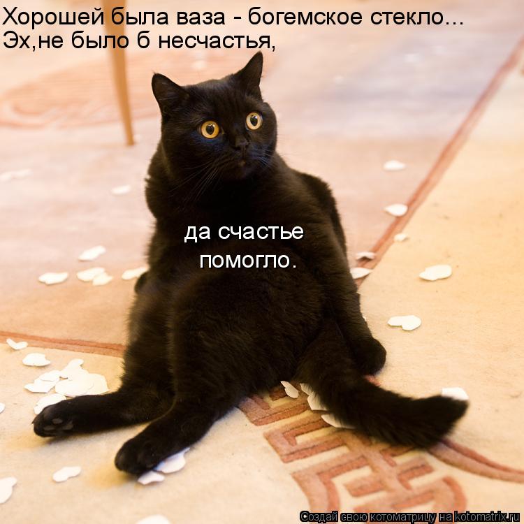 Хорошей была ваза - богемское стекло... Эх,не было б несчастья, да счастье помогло.... Котоматрица: Хорошей была ваза - богемское стекло... Эх,не было б несчастья, да счастье помогло.