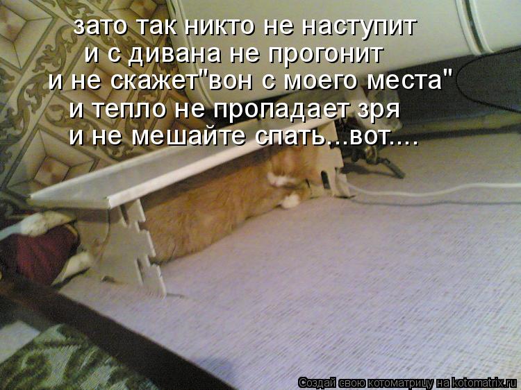 зато так никто не наступит и с дивана не прогонит и не скажет"вон с моего места" и тепло не пропадает... Котоматрица: зато так никто не наступит и с дивана не прогонит и не скажет"вон с моего места" и тепло не пропадает зря и не мешайте спать...вот....