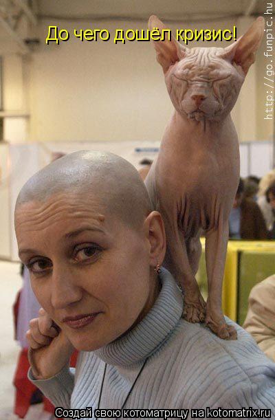 До чего дошёл кризис!... Котоматрица: До чего дошёл кризис!