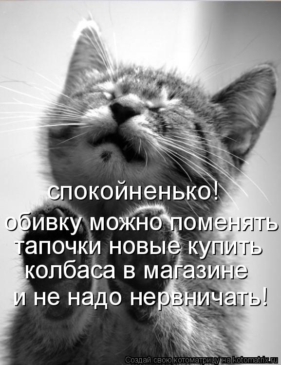 спокойненько! обивку можно поменять тапочки новые купить колбаса в магазине и не надо нервничать!... Котоматрица: спокойненько! обивку можно поменять тапочки новые купить колбаса в магазине и не надо нервничать!