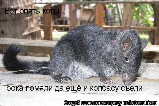 Вот опять коты... Вот опять коты... бока помяли да ещё и колбасу съели... Котоматрица: Вот опять коты... Вот опять коты... бока помяли да ещё и колбасу съели
