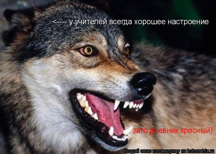 <---- у учителей всегда хорошее настроение зато дневник красный)... Котоматрица: <---- у учителей всегда хорошее настроение зато дневник красный)