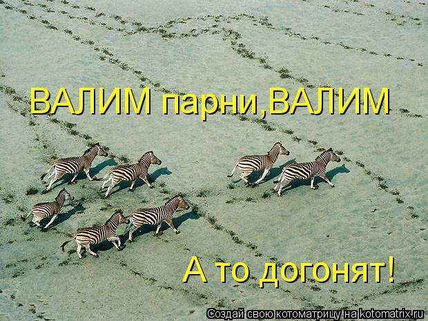 ВАЛИМ парни,ВАЛИМ А то догонят!... Котоматрица: ВАЛИМ парни,ВАЛИМ А то догонят!