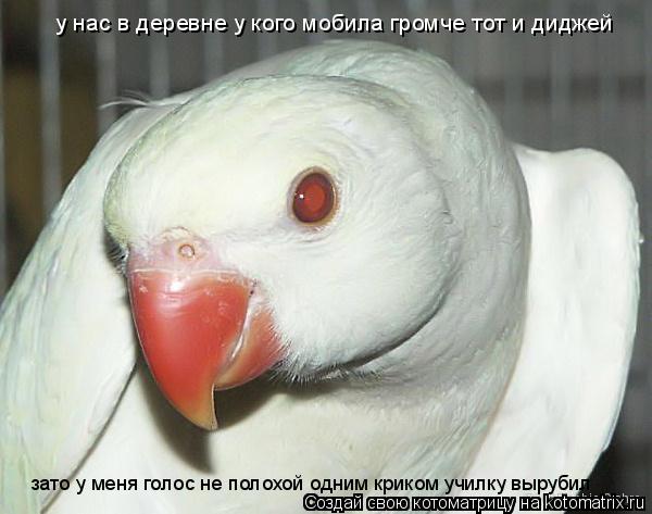 у нас в деревне у кого мобила громче тот и диджей зато у меня голос не полохой одним криком училку вы... Котоматрица: у нас в деревне у кого мобила громче тот и диджей зато у меня голос не полохой одним криком училку вырубил