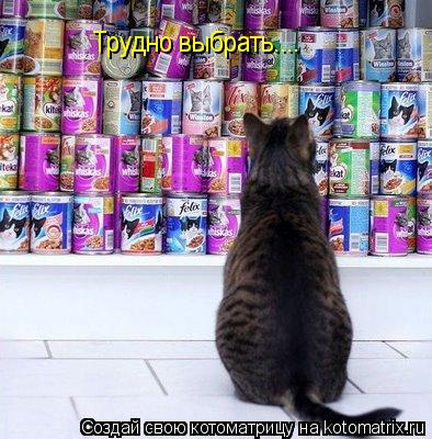Трудно выбрать....... Котоматрица: Трудно выбрать....