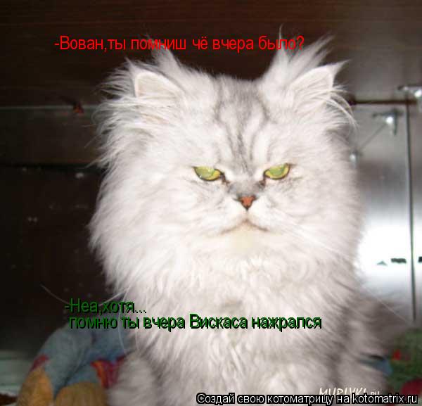 -Вован,ты помниш чё вчера было? -Неа,хотя... помню ты вчера Вискаса нажрался... Котоматрица: -Вован,ты помниш чё вчера было? -Неа,хотя... помню ты вчера Вискаса нажрался