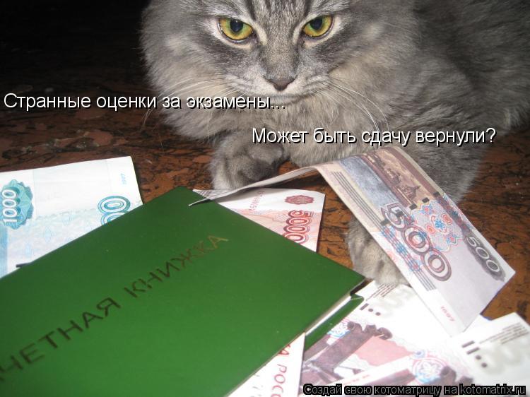 Странные оценки за экзамены... Может быть сдачу вернули?... Котоматрица: Странные оценки за экзамены... Может быть сдачу вернули?