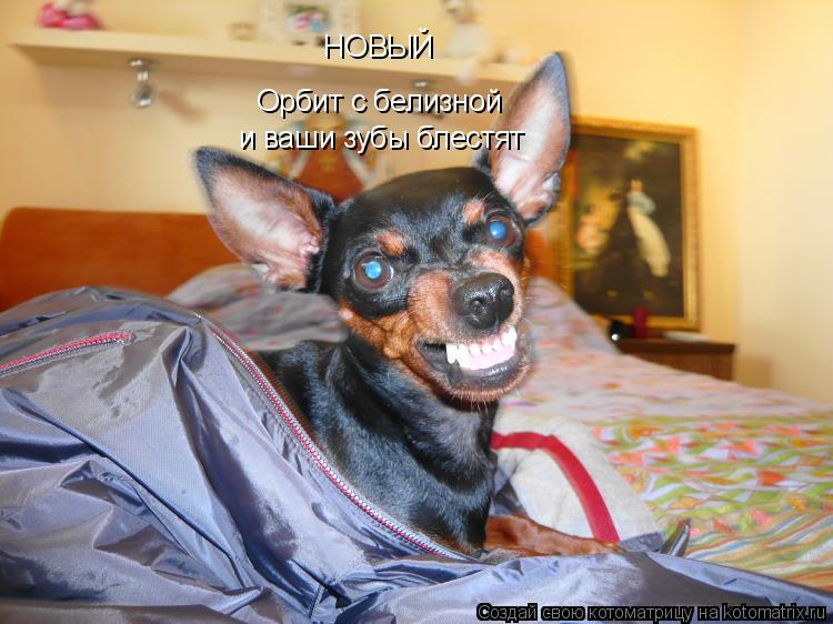 Орбит с белизной НОВЫЙ и ваши зубы блестят... Котоматрица: Орбит с белизной НОВЫЙ и ваши зубы блестят