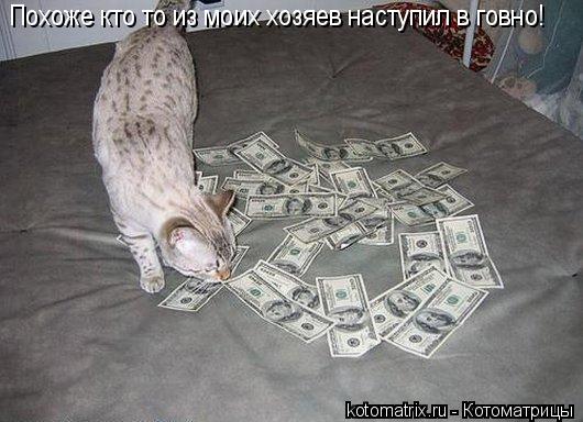 Похоже кто то из моих хозяев наступил в говно!... Котоматрица: Похоже кто то из моих хозяев наступил в говно!