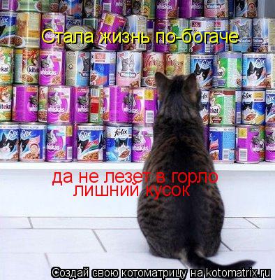 Стала жизнь по-богаче да не лезет в горло лишний кусок... Котоматрица: Стала жизнь по-богаче да не лезет в горло лишний кусок