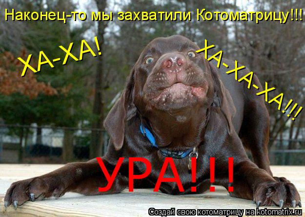 Наконец-то мы захватили Котоматрицу!!! ХА-ХА! ХА-ХА-ХА!!! УРА!!!... Котоматрица: Наконец-то мы захватили Котоматрицу!!! ХА-ХА! ХА-ХА-ХА!!! УРА!!!