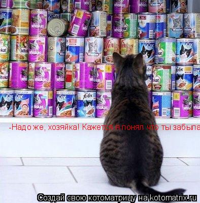 -Надо же, хозяйка! Кажется я понял что ты забыла!... Котоматрица: -Надо же, хозяйка! Кажется я понял что ты забыла!