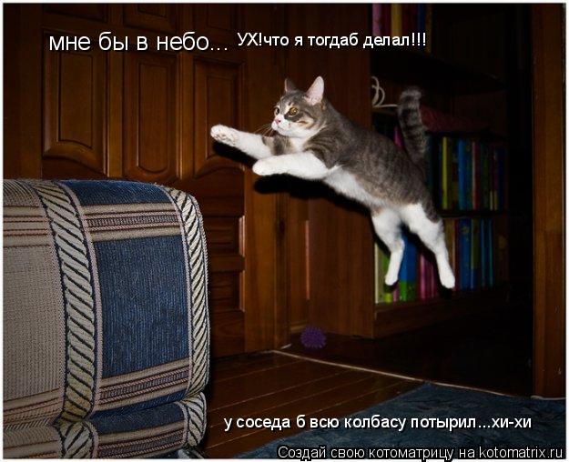 мне бы в небо... УХ!что я тогдаб делал!!! у соседа б всю колбасу потырил...хи-хи... Котоматрица: мне бы в небо... УХ!что я тогдаб делал!!! у соседа б всю колбасу потырил...хи-хи