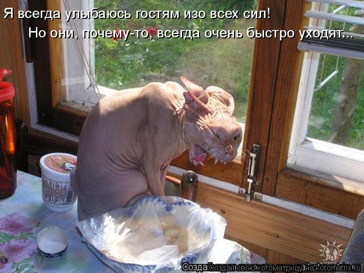 Я всегда улыбаюсь гостям изо всех сил! Но они, почему-то, всегда очень быстро уходят...... Котоматрица: Я всегда улыбаюсь гостям изо всех сил! Но они, почему-то, всегда очень быстро уходят...