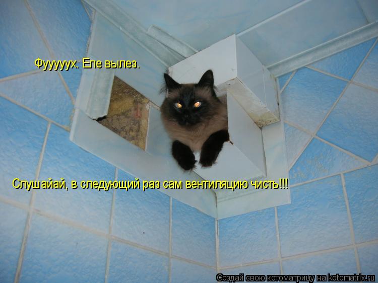 Фууууух. Еле вылез. Слушайай, в следующий раз сам вентиляцию чисть!!!... Котоматрица: Фууууух. Еле вылез. Слушайай, в следующий раз сам вентиляцию чисть!!!