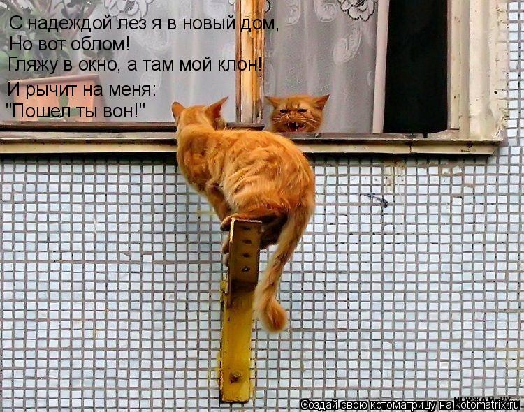 С надеждой лез я в новый дом, Но вот облом! Гляжу в окно, а там мой клон! И рычит на меня: "Пошел ты ... Котоматрица: С надеждой лез я в новый дом, Но вот облом! Гляжу в окно, а там мой клон! И рычит на меня: "Пошел ты вон!"