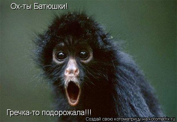 Ох-ты Батюшки! Гречка-то подорожала!!!... Котоматрица: Ох-ты Батюшки! Гречка-то подорожала!!!