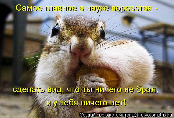 Самое главное в науке воровства - сделать вид, что ты ничего не брал, и у тебя ничего нет!... Котоматрица: Самое главное в науке воровства - сделать вид, что ты ничего не брал, и у тебя ничего нет!