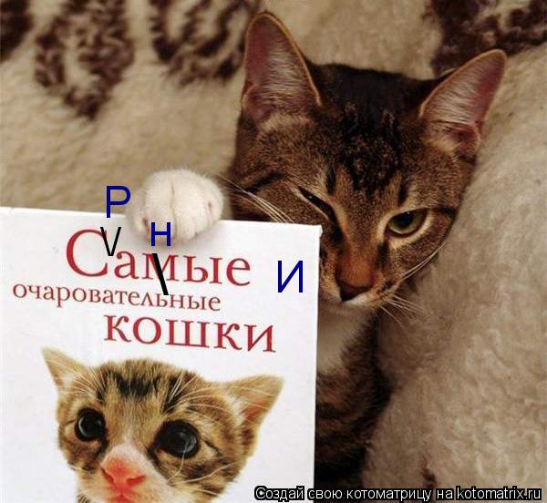 \/ \ Р И н... Котоматрица: \/ \ Р И н