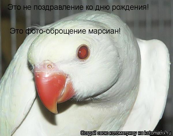 Это не поздравление ко дню рождения! Это фото-оброщение марсиан!... Котоматрица: Это не поздравление ко дню рождения! Это фото-оброщение марсиан!
