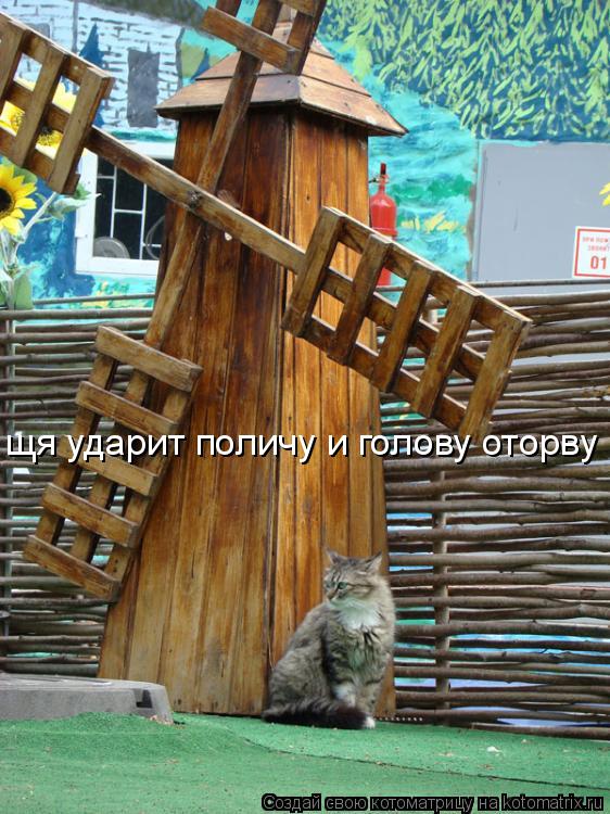 щя ударит поличу и голову оторву... Котоматрица: щя ударит поличу и голову оторву