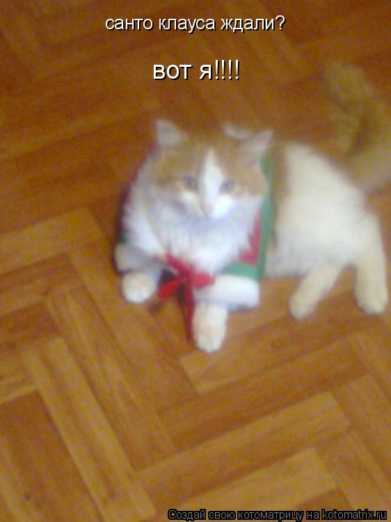 санто клауса ждали? вот я!!!!... Котоматрица: санто клауса ждали? вот я!!!!