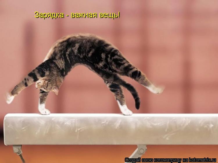 Зарядка - важная вещь! Зарядка - важная вещь!... Котоматрица: Зарядка - важная вещь! Зарядка - важная вещь!