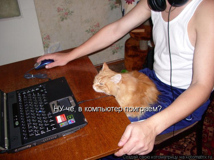 НУ чё, в компьютер поиграем?... Котоматрица: НУ чё, в компьютер поиграем?