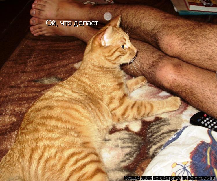 Ой, что делает... Котоматрица: Ой, что делает
