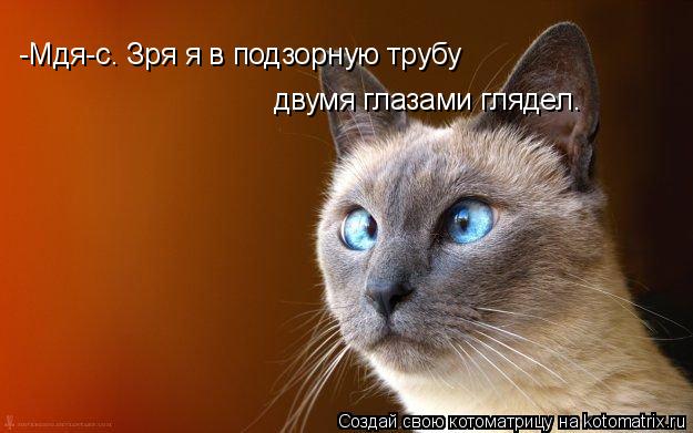 -Мдя-с. Зря я в подзорную трубу двумя глазами глядел.... Котоматрица: -Мдя-с. Зря я в подзорную трубу двумя глазами глядел.