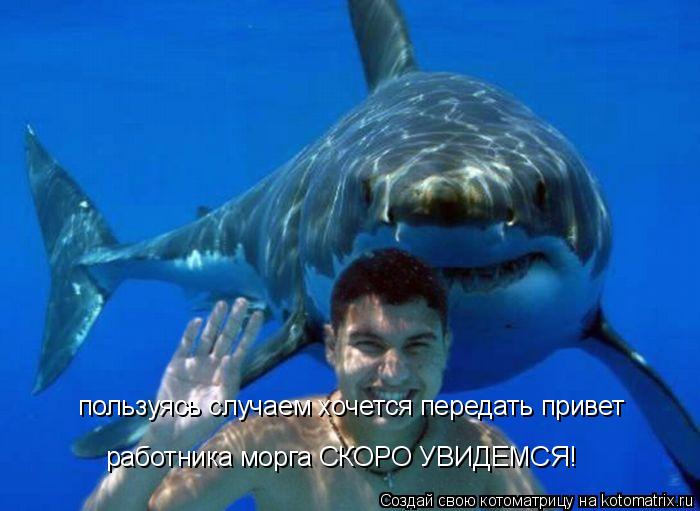 пользуясь случаем хочется передать привет работника морга СКОРО УВИДЕМСЯ!... Котоматрица: пользуясь случаем хочется передать привет работника морга СКОРО УВИДЕМСЯ!