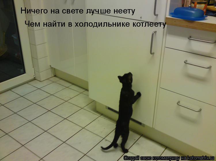 Ничего на свете лучше неету Чем найти в холодильнике котлеету... Котоматрица: Ничего на свете лучше неету Чем найти в холодильнике котлеету