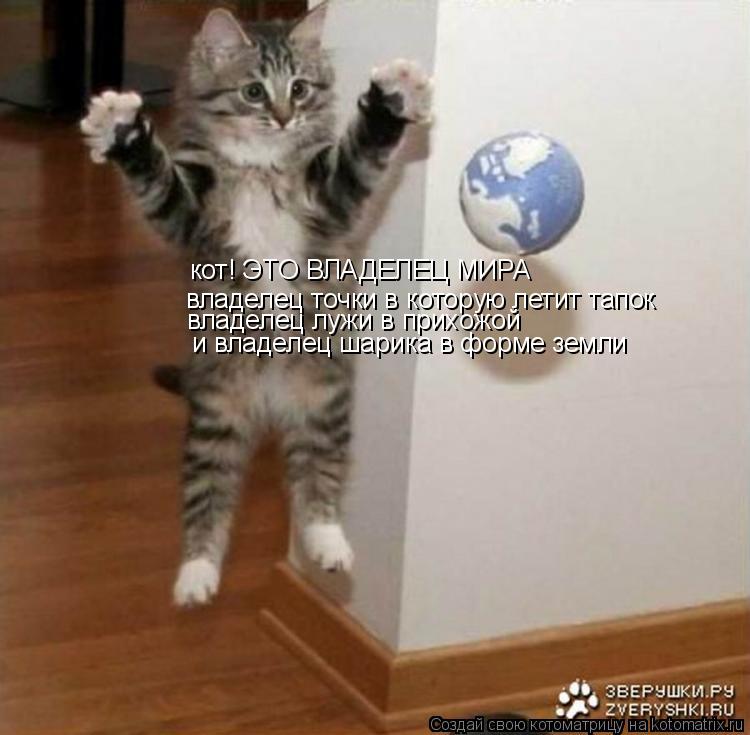 кот! ЭТО ВЛАДЕЛЕЦ МИРА владелец точки в которую летит тапок владелец лужи в прихожой и владелец шари... Котоматрица: кот! ЭТО ВЛАДЕЛЕЦ МИРА владелец точки в которую летит тапок владелец лужи в прихожой и владелец шарика в форме земли
