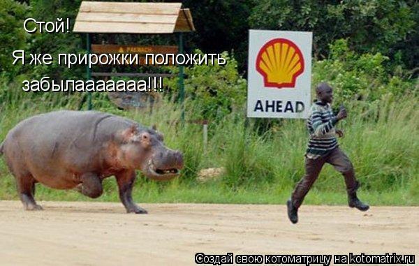 Я же прирожки положить забылааааааа!!! Стой!... Котоматрица: Я же прирожки положить забылааааааа!!! Стой!