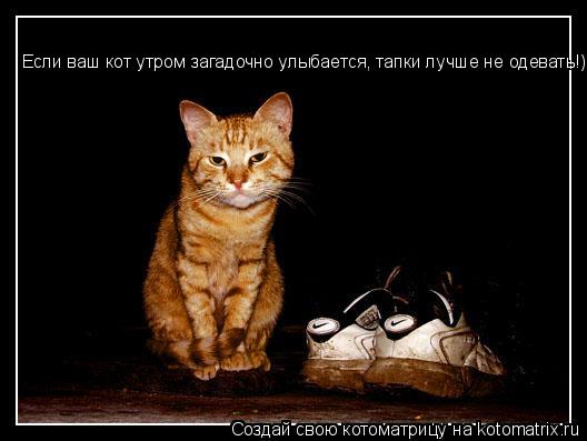 Если ваш кот утром загадочно улыбается, тапки лучше не одевать!)... Котоматрица: Если ваш кот утром загадочно улыбается, тапки лучше не одевать!)