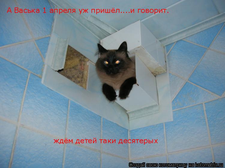 А Васька 1 апреля уж пришёл....и говорит. ждём детей таки десятерых... Котоматрица: А Васька 1 апреля уж пришёл....и говорит. ждём детей таки десятерых