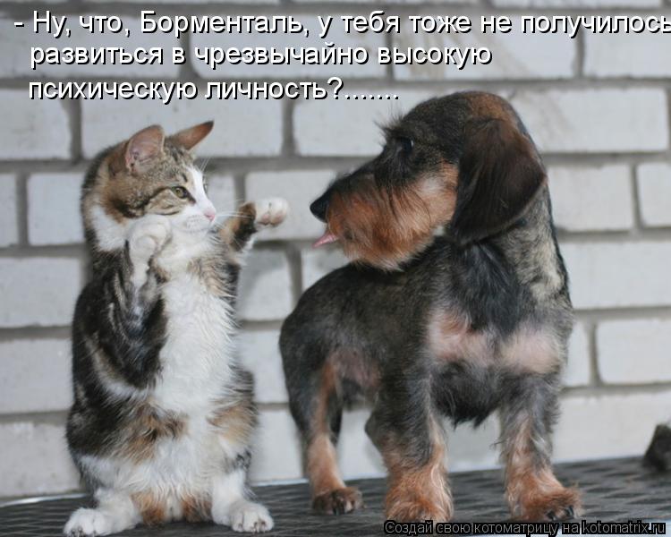 - Ну, что, Борменталь, у тебя тоже не получилось развиться в чрезвычайно высокую психическую личность... Котоматрица: - Ну, что, Борменталь, у тебя тоже не получилось развиться в чрезвычайно высокую психическую личность?.......