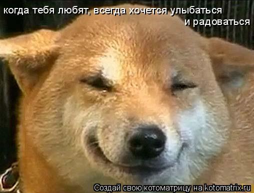 когда тебя любят, всегда хочется улыбаться и радоваться... Котоматрица: когда тебя любят, всегда хочется улыбаться и радоваться