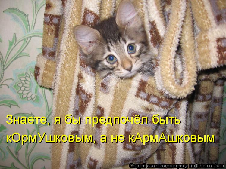 Знаете, я бы предпочёл быть кОрмУшковым, а не кАрмАшковым... Котоматрица: Знаете, я бы предпочёл быть кОрмУшковым, а не кАрмАшковым