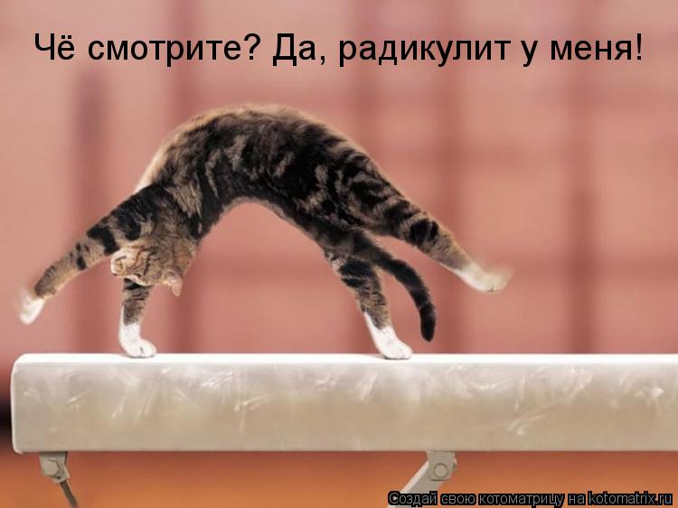 Котоматрица: Чё смотрите? Да, радикулит у меня!