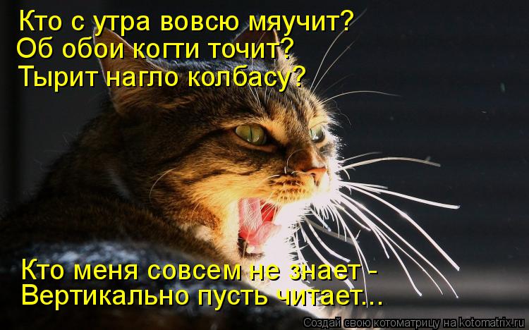 Котоматрица: Кто с утра вовсю мяучит? Об обои когти точит? Тырит нагло колбасу? Кто меня совсем не знает -  Вертикально пусть читает...