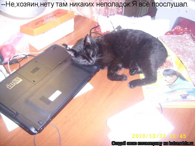 Котоматрица: --Не,хозяин,нету там никаких неполадок.Я всё прослушал.