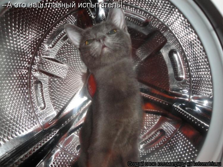 Котоматрица: --А это наш главный испытатель!