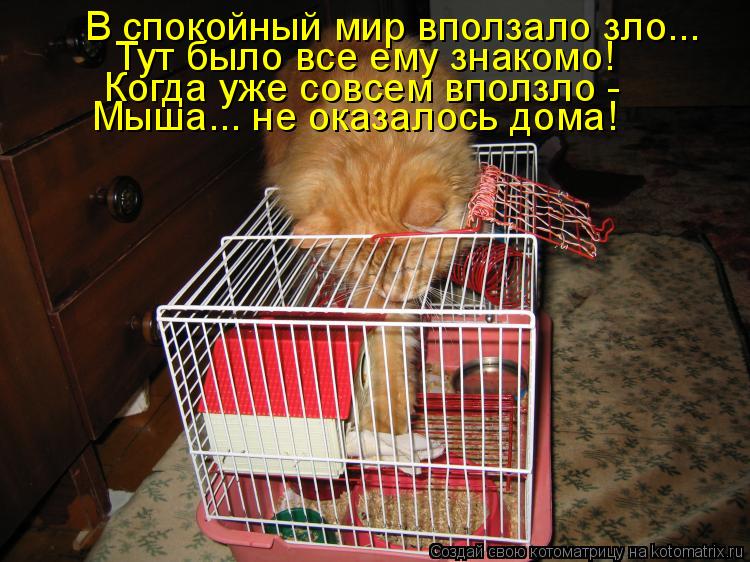 В спокойный мир вползало зло... Тут было все ему знакомо! Когда уже совсем вползло - Мыша... не оказ... Котоматрица: В спокойный мир вползало зло... Тут было все ему знакомо! Когда уже совсем вползло - Мыша... не оказалось дома!