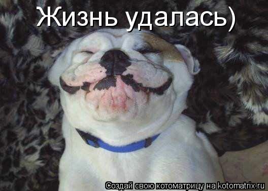 Котоматрица: Жизнь удалась)