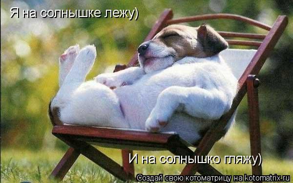 Котоматрица: Я на солнышке лежу) И на солнышко гляжу)