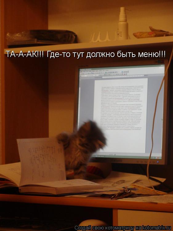 Котоматрица: ТА-А-АК!!! Где-то тут должно быть меню!!!